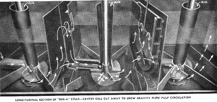 PULP CIRCULATION