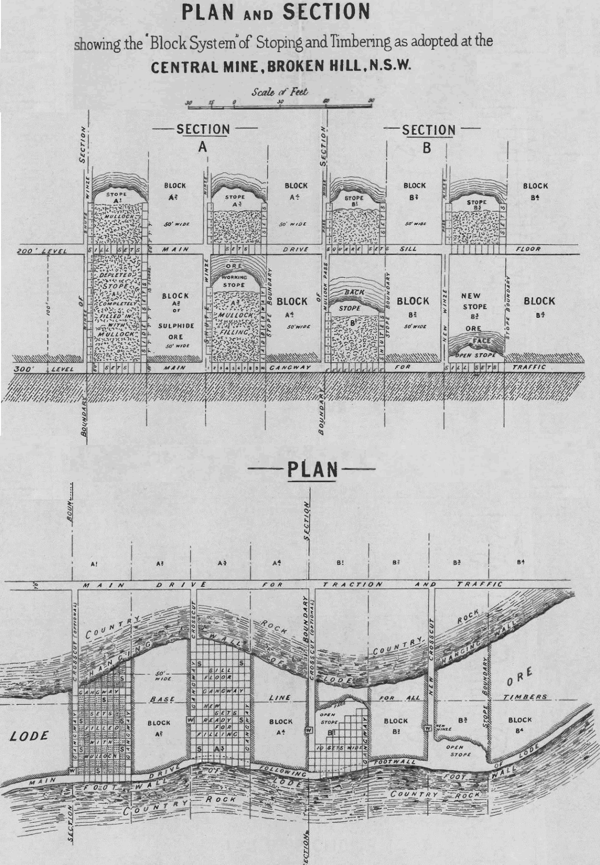 Plan and Section