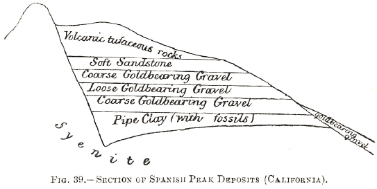 Section of Spanish Park Deposit