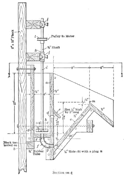 Section