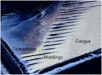 Shaking table concentrate with free gold particles