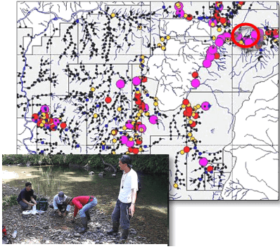 stream-sediment-sampling