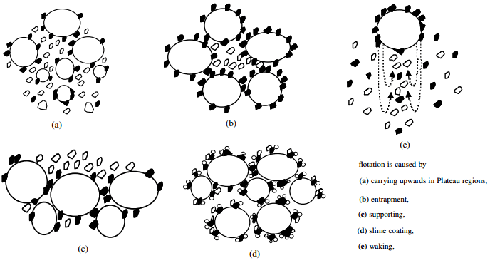 Types of flotation entrainment