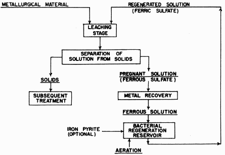 using-bacteria-to-leach