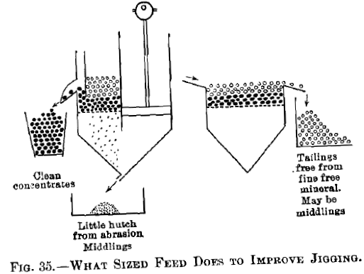 What Sized Feed