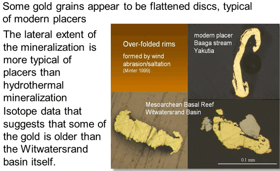 witwatersrand-gold-mineralization