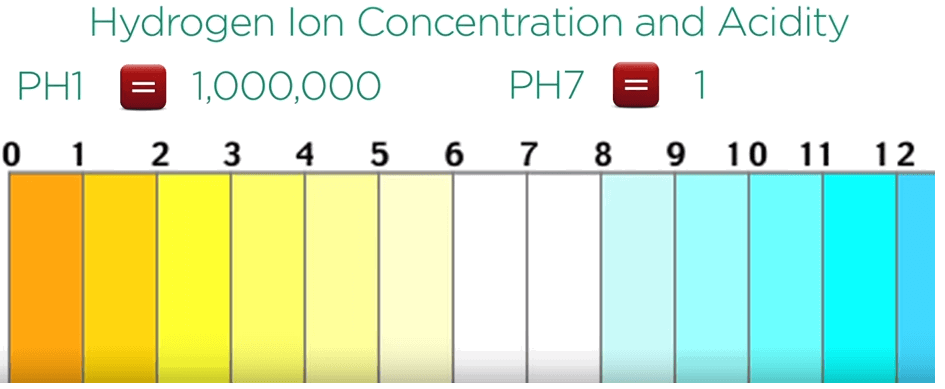 pH 1 has hydrogen ion concentration